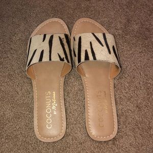 coconuts zebra slides